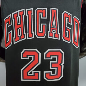 Chicago Bulls Fora Nº23
